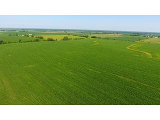 Property photo 10 - LAND AUCTION - 209.2+/- ACRES OFFERED IN 4 TRACTS IN NEWTON COUNTY, INDIANA